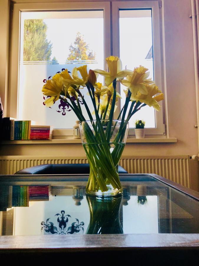 Hostel24 Bed&Breakfast Bydgoszcz Eksteriør bilde